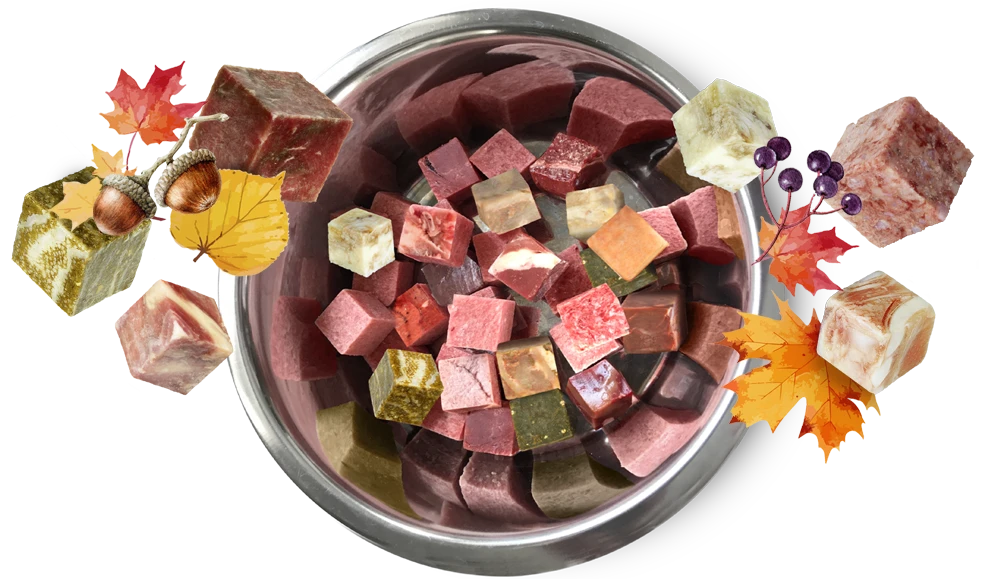 Barffutter in Würfeln für den Herbst